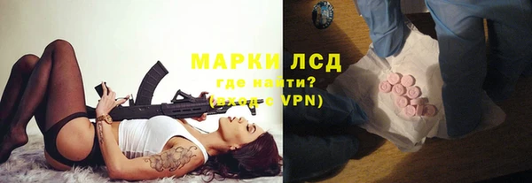 мяу мяу мука Инта