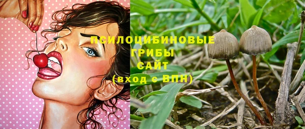 мяу мяу мука Инта
