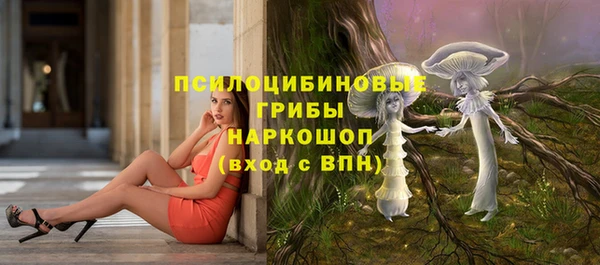 марки lsd Инсар