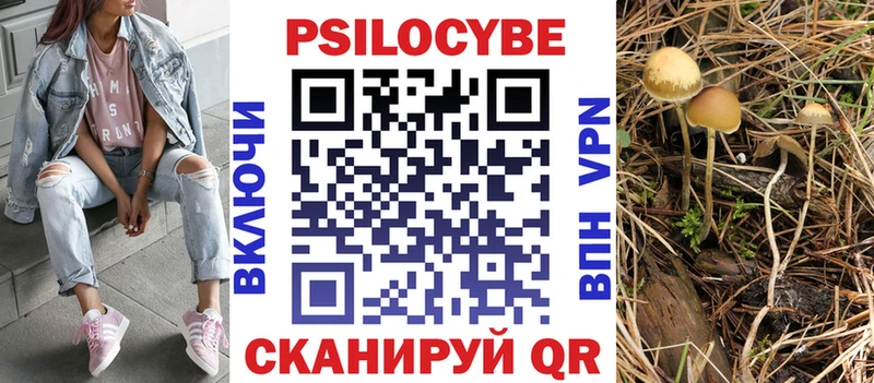 Псилоцибиновые грибы прущие грибы  Купить  Краснокамск 